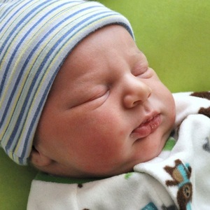 Micah Phelps